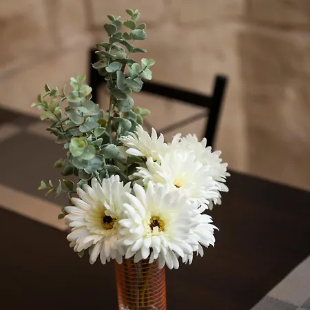 Apartman Bright & Spacious By The Sea